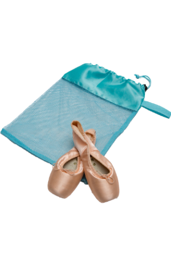 Horizon Dance Mesh Shoe Bag, Mint 8233