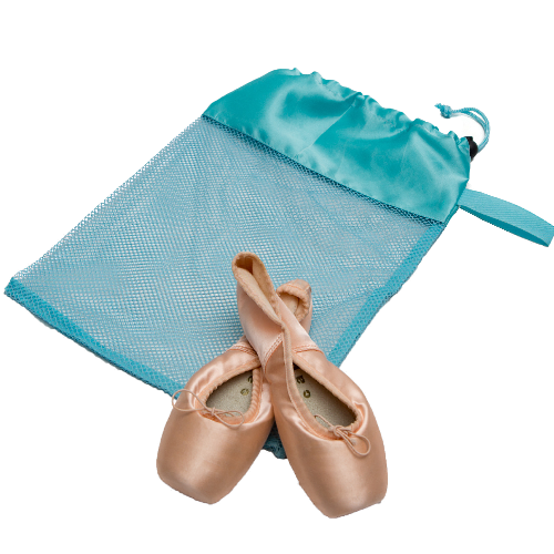 Horizon Dance Mesh Shoe Bag, Mint 8233